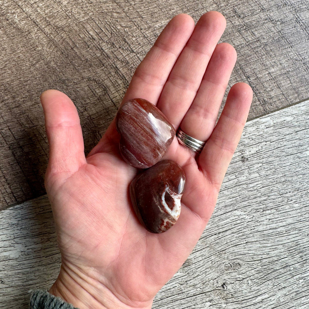 in de hand twee gepolijste hartjes van versteend hout