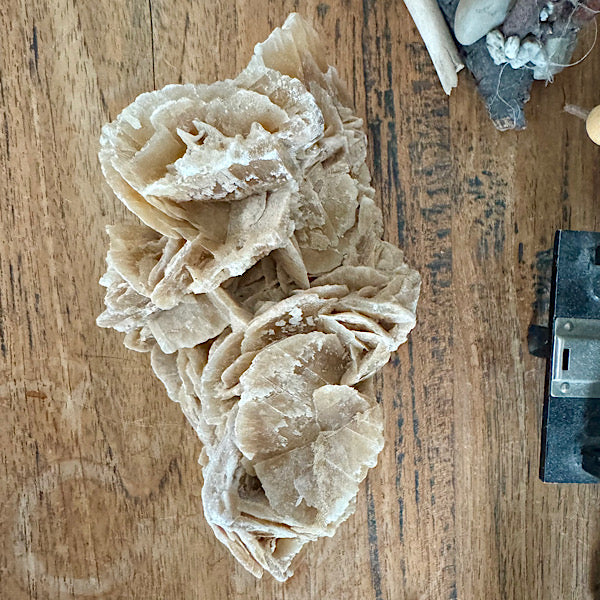 woestijnroos rozet ruw gekristalliseerd