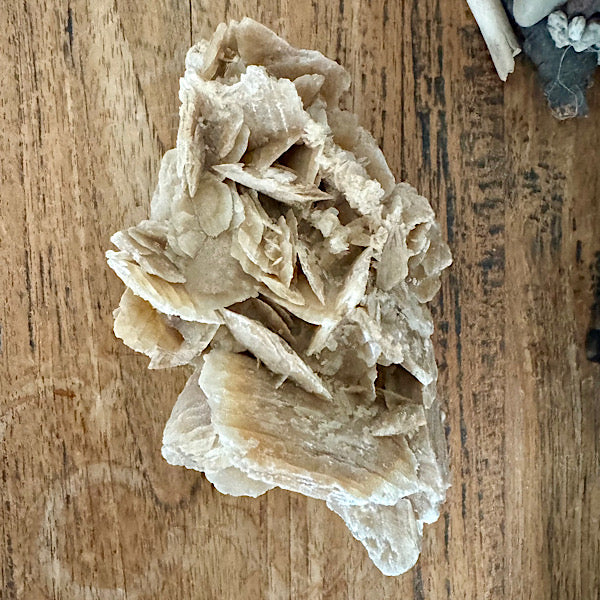 woestijnroos rozet ruw gekristalliseerd