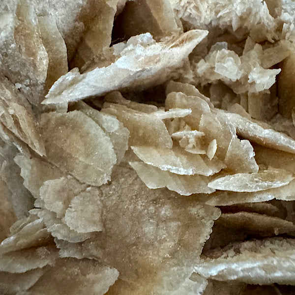 woestijnroos rozet ruw gekristalliseerd