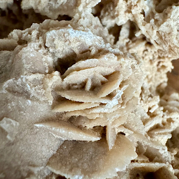 woestijnroos rozet ruw gekristalliseerd B