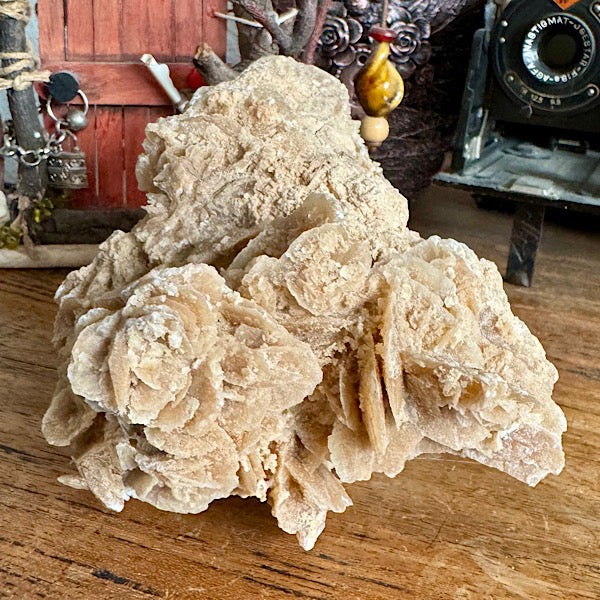 woestijnroos rozet ruw gekristalliseerd B