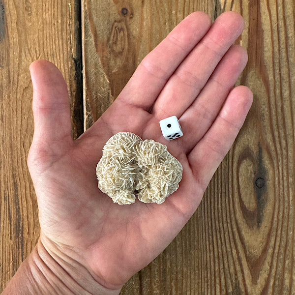 woestijnroosje gekristalliseerd nr1 marokko 1