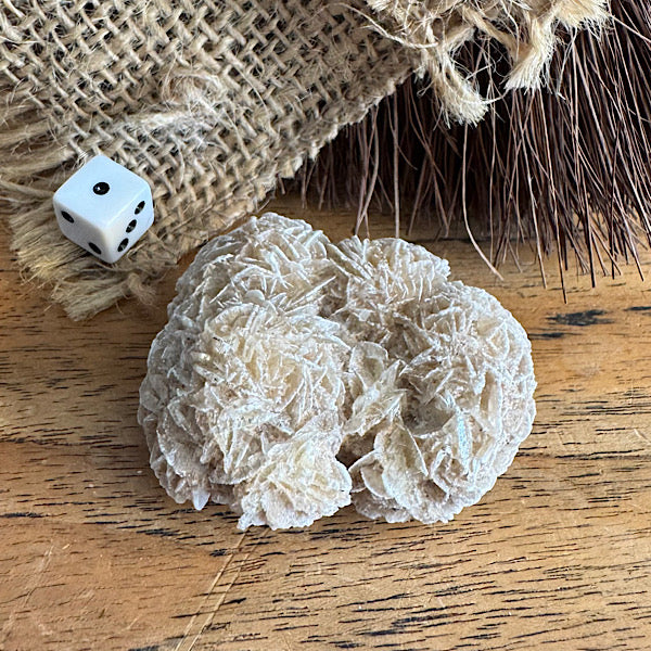 Gekristalliseerd WoestijnRoosje