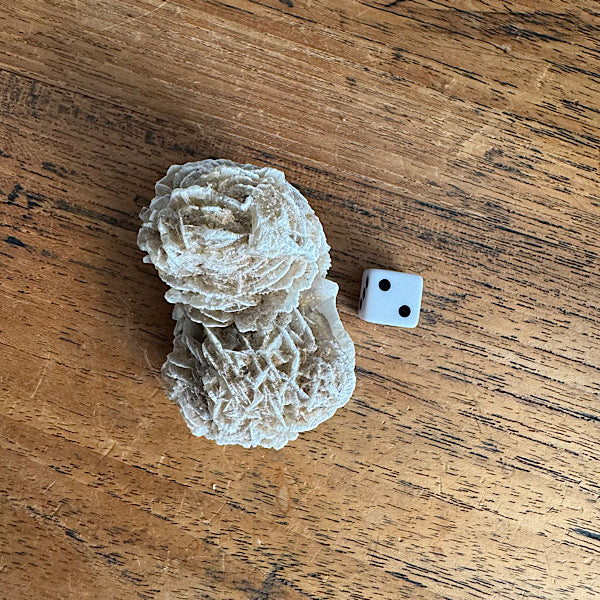 woestijnroosje gekristalliseerd nr2 marokko