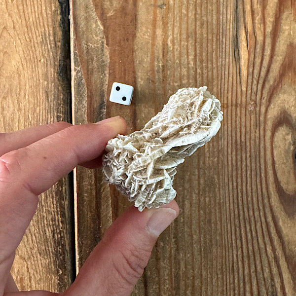 woestijnroosje gekristalliseerd nr2 marokko