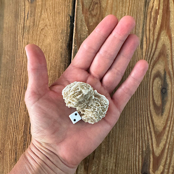 woestijnroosje gekristalliseerd nr2 marokko