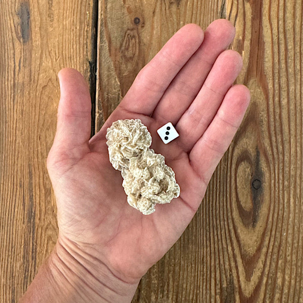 woestijnroosje gekristalliseerd nr3 marokko